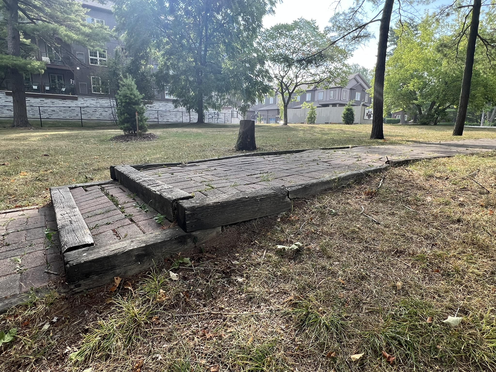 Stone pathway with three broad wood-framed stone steps